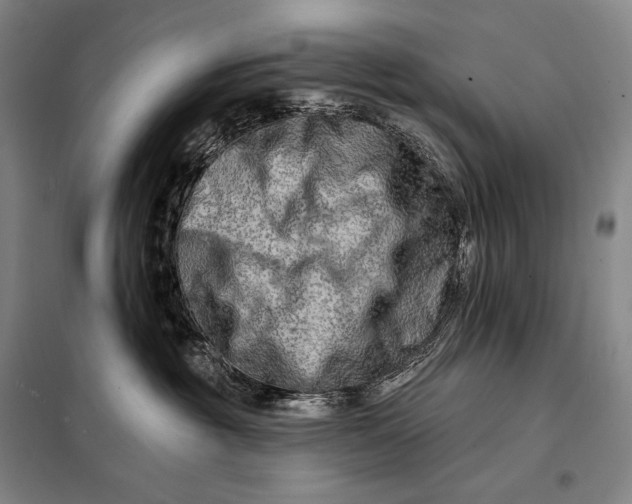 X0000098130381200805011326