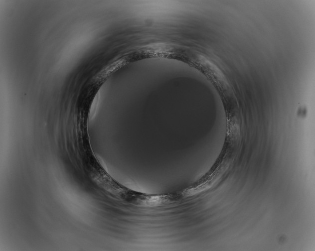 X0000098130382200805011326