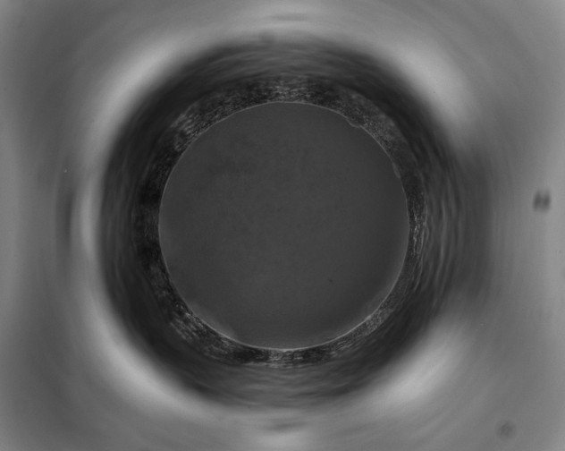 X0000098130383200805011326