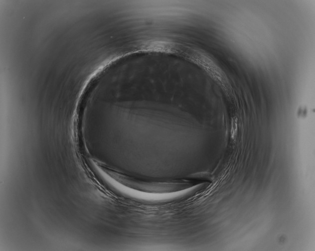 X0000098130388200805011326