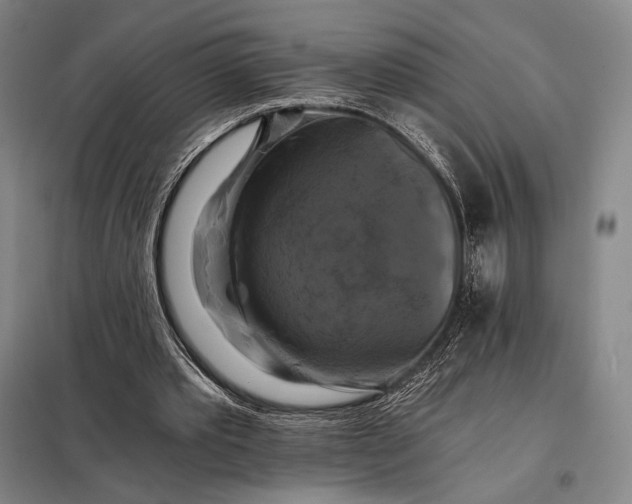 X0000098130389200805011326