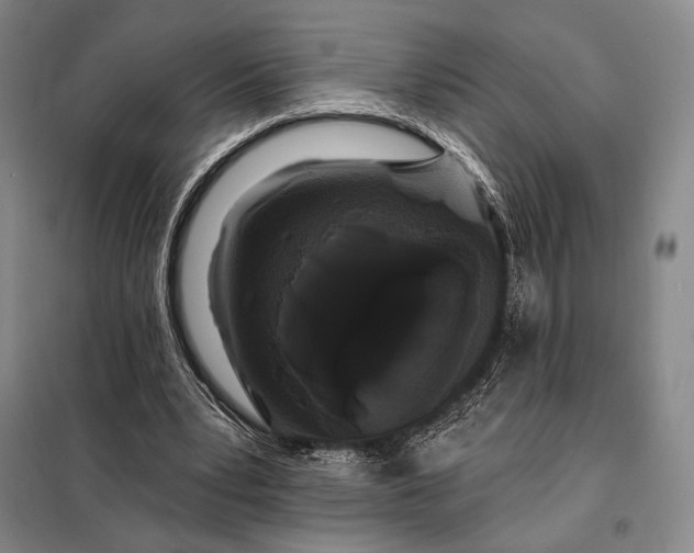 X0000098130391200805011326