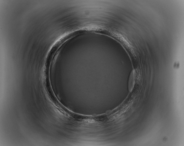 X0000098130392200805011326