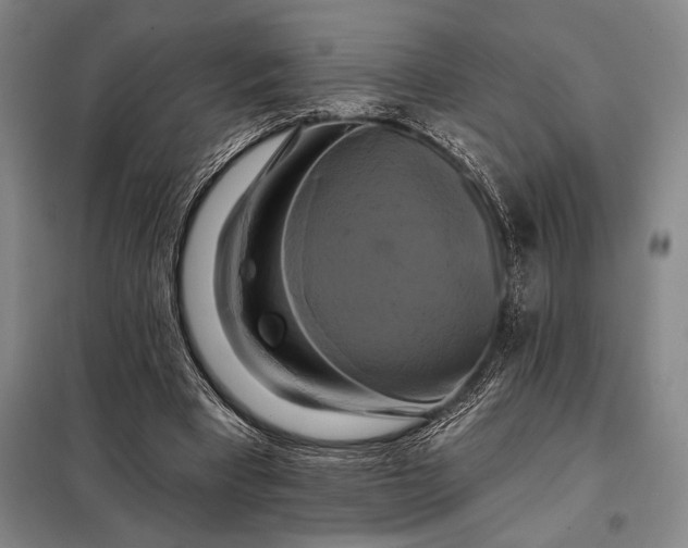X0000098130393200805011326