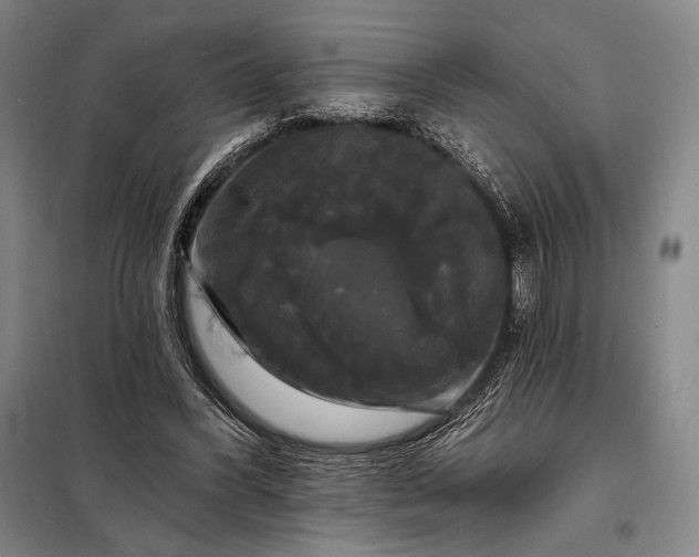 X0000098130396200805011326