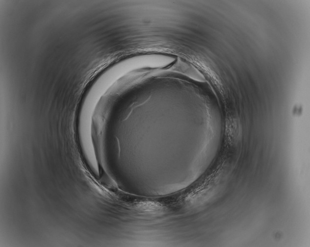 X0000098130397200805011325