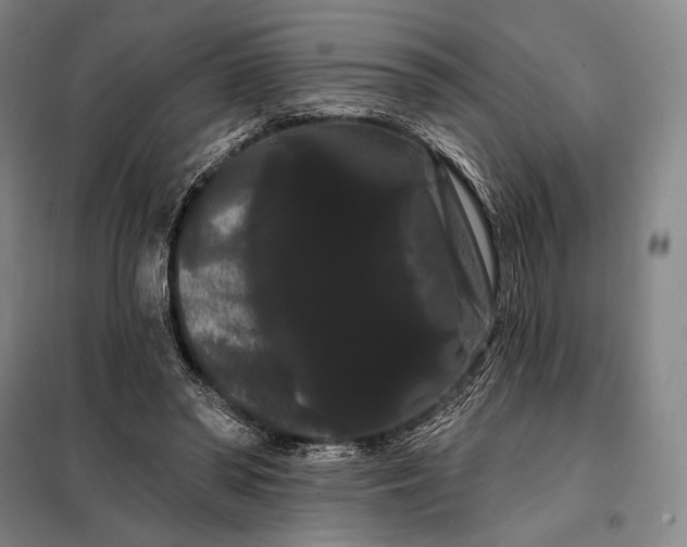 X0000098130398200805011325