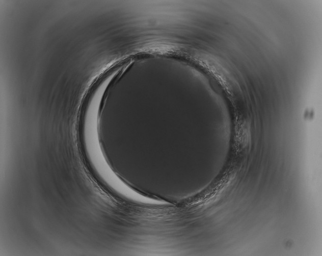 X0000098130399200805011325