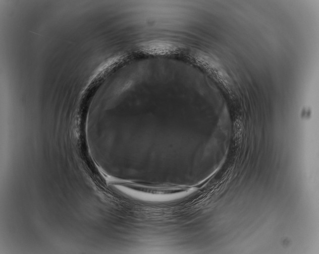 X0000098130400200805011325