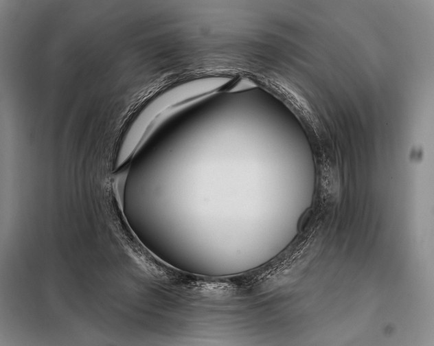 X0000098130401200805011325