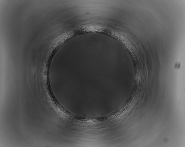 X0000098130402200805011325