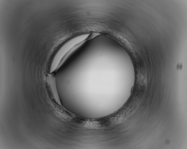X0000098130403200805011325