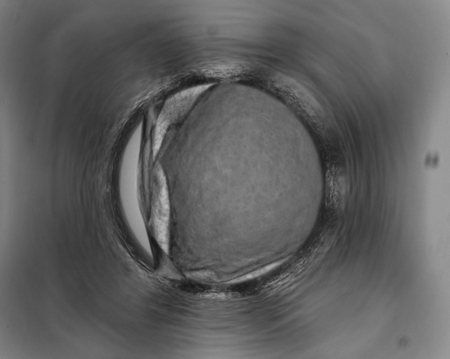 X0000098130404200805011325