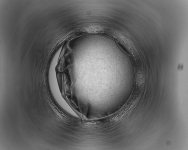 X0000098130405200805011325