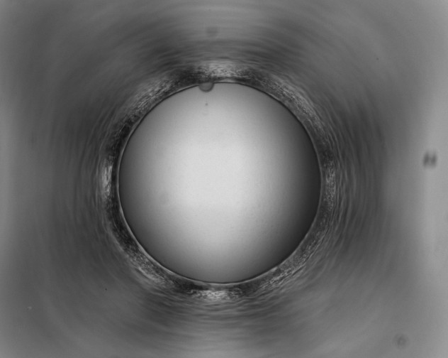 X0000098130406200805011325