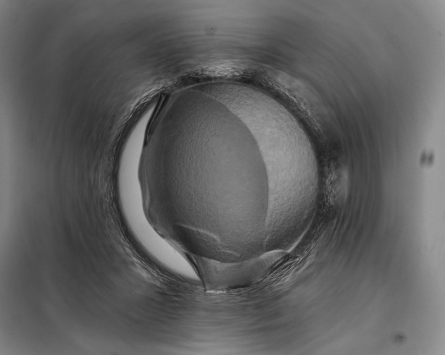 X0000098130407200805011325