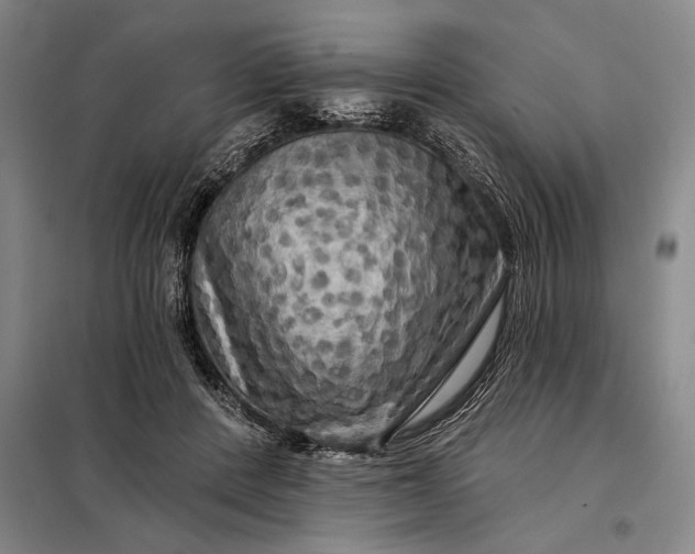 X0000098130408200805011325