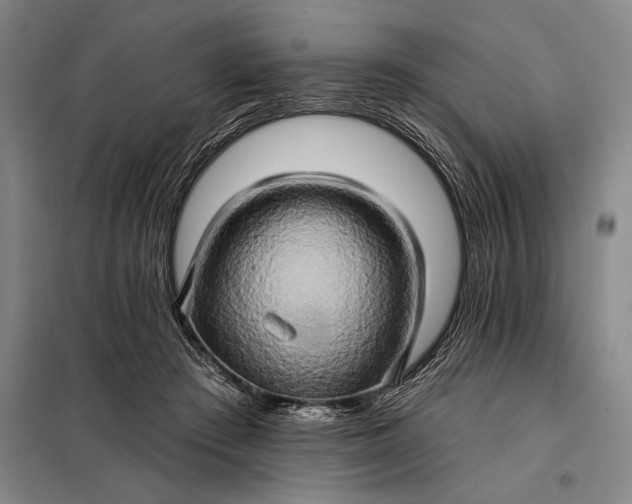 X0000098130409200805011325