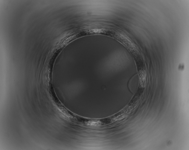 X0000098130410200805011325