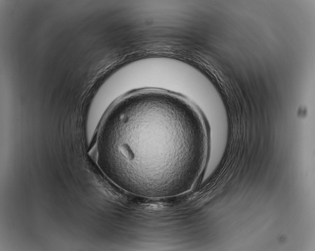 X0000098130411200805011325
