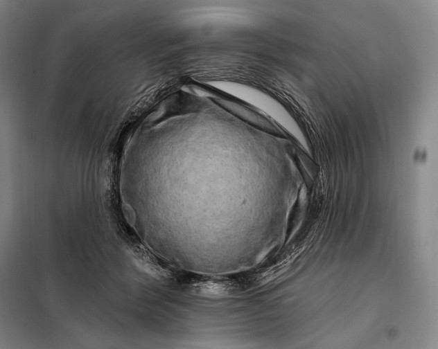X0000098130412200805011325
