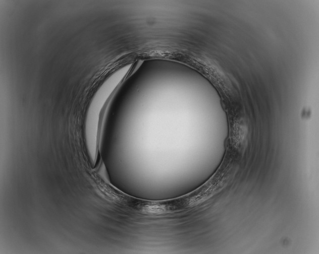 X0000098130413200805011325