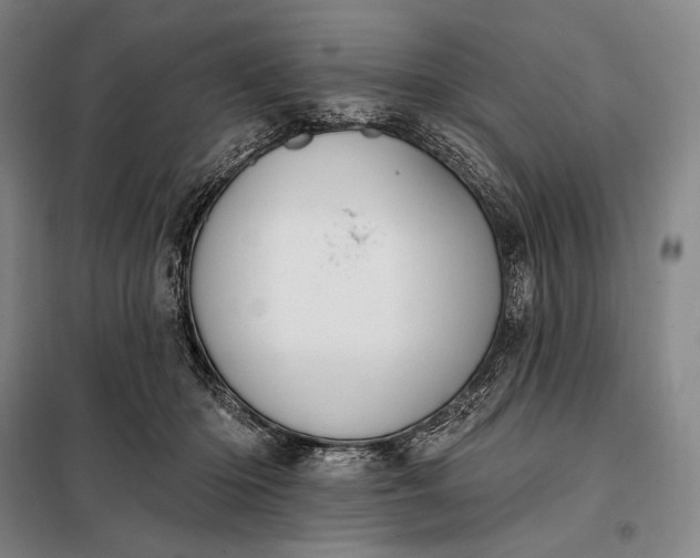 X0000098130414200805011325