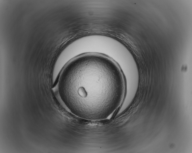 X0000098130415200805011325