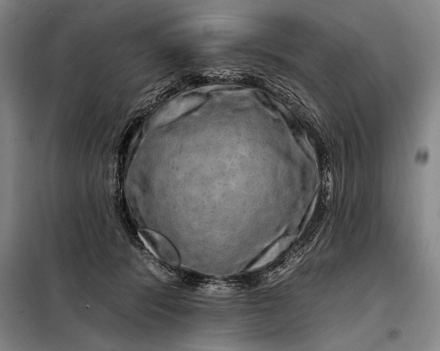 X0000098130416200805011325