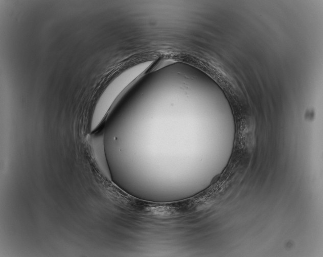 X0000098130417200805011325