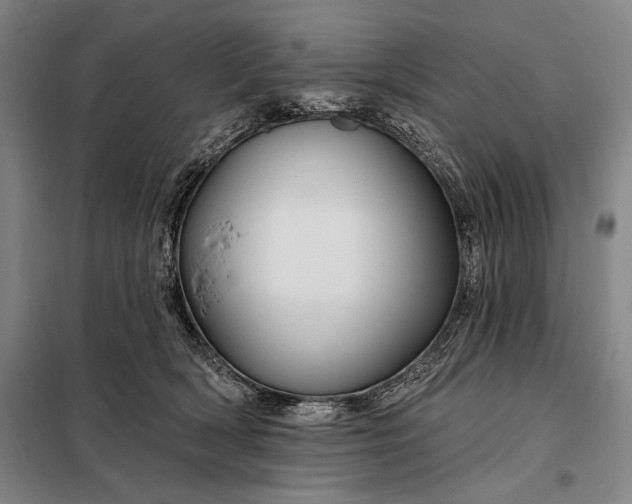 X0000098130418200805011325