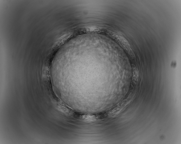 X0000098130419200805011325