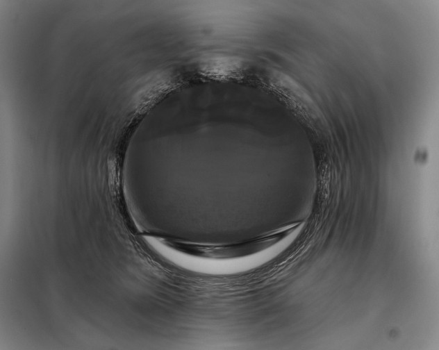 X0000098130420200805011325