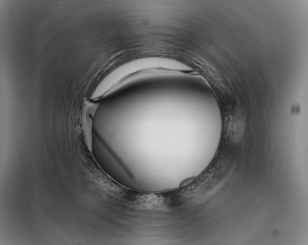 X0000098130421200805011325