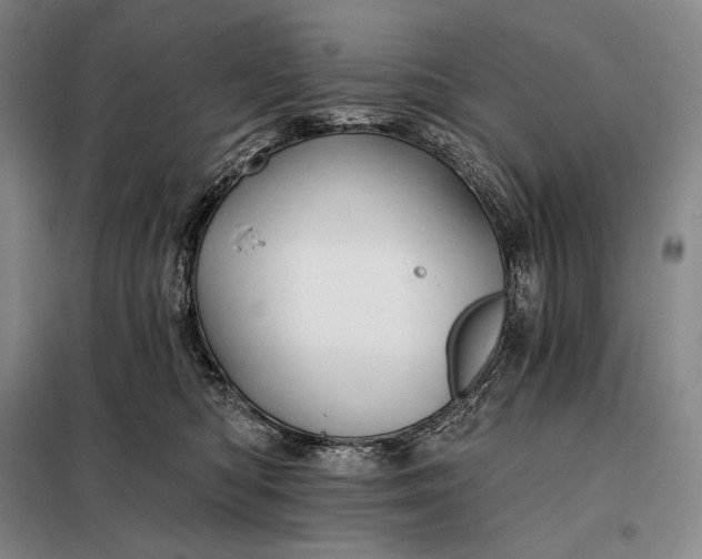 X0000098130422200805011325