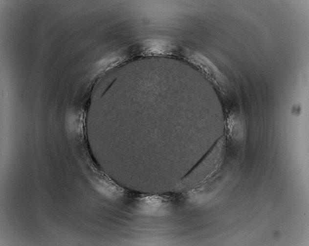 X0000098130423200805011325