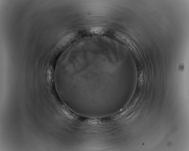 X0000098130424200805011325