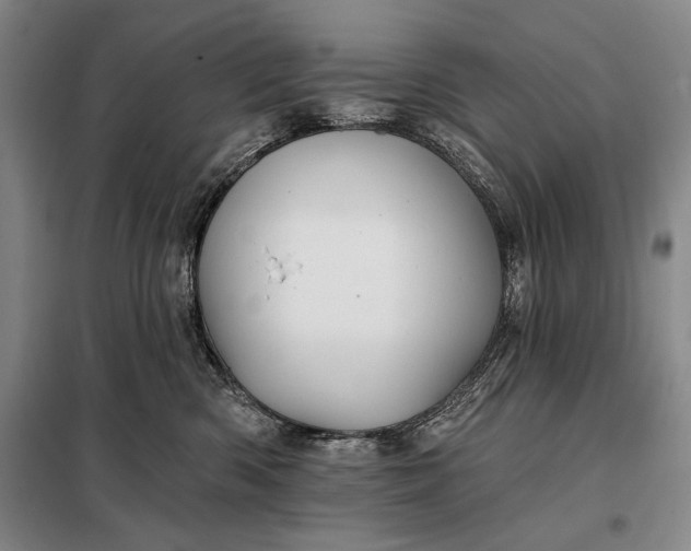 X0000098130426200805011325