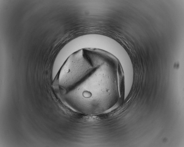 X0000098130427200805011325