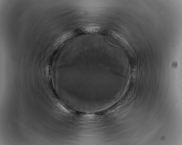 X0000098130428200805011325