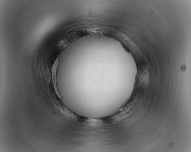 X0000098130429200805011325