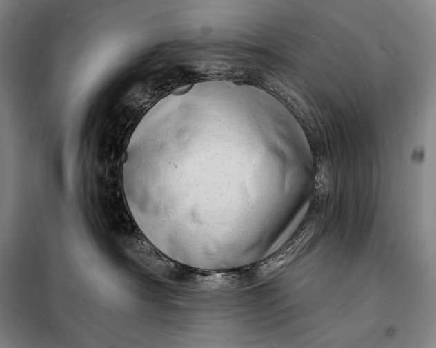 X0000098130430200805011325