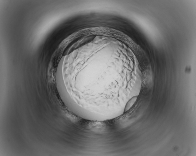 X0000098130431200805011325