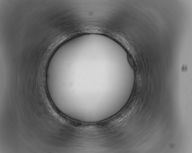 X0000098130433200805011324