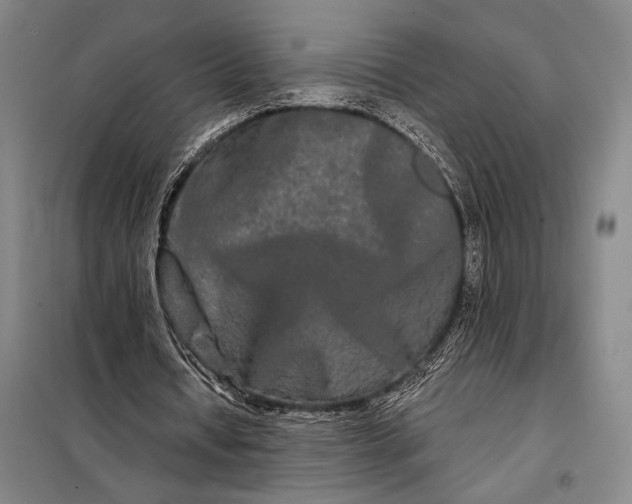 X0000098130434200805011324