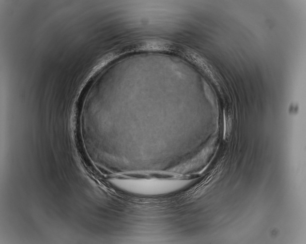 X0000098130435200805011324