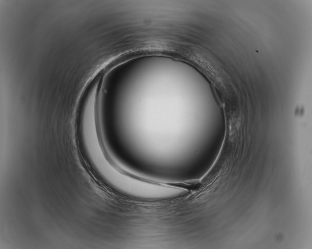 X0000098130436200805011324
