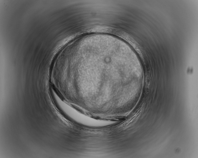 X0000098130437200805011324