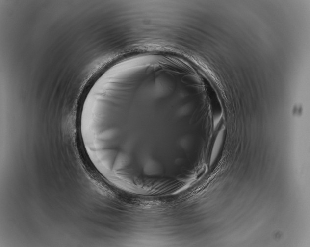 X0000098130438200805011324