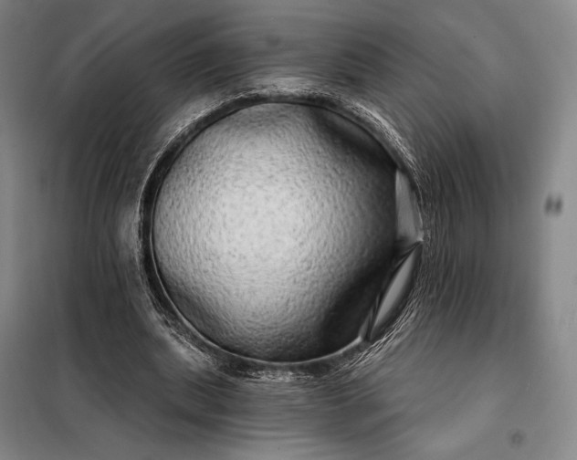 X0000098130439200805011324